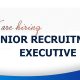 Recruiting Senior Recruitment Executive position for HimCom